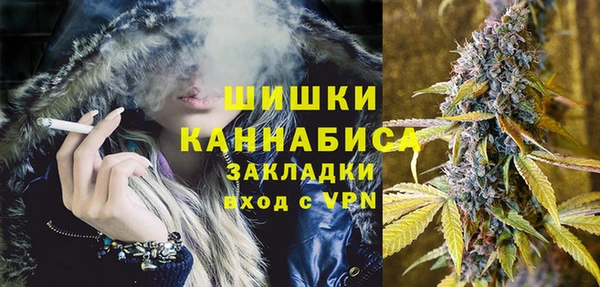 гидра Майский