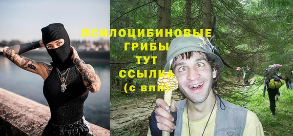 метадон Магас